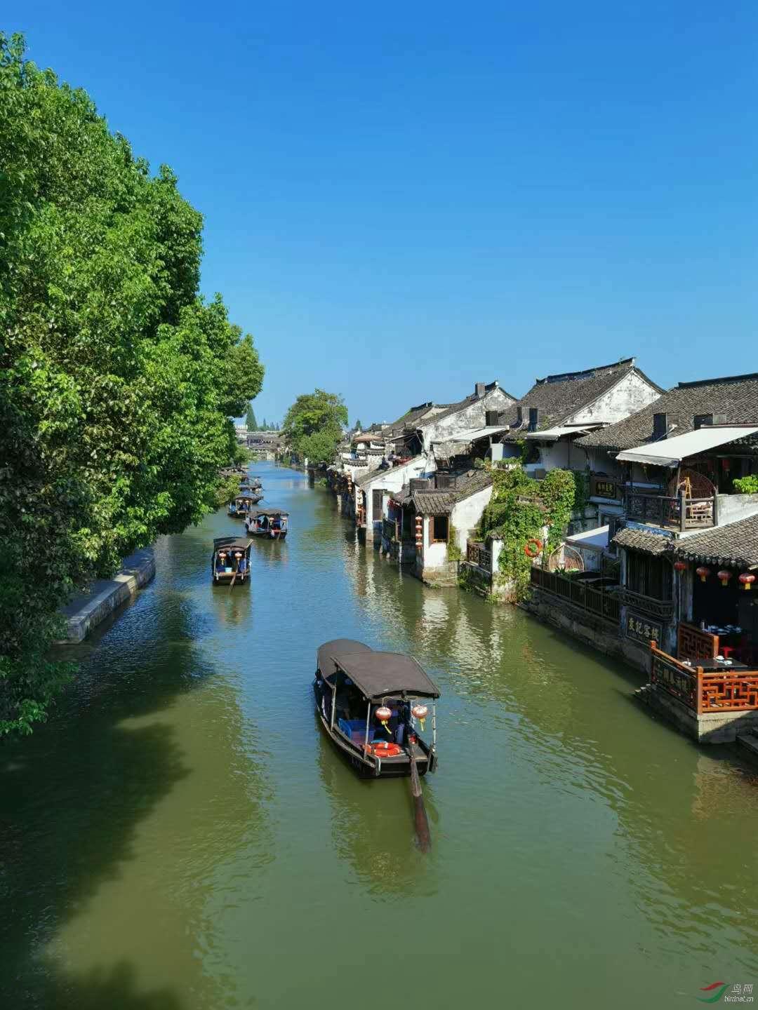 植物大战僵尸18